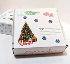 Коробка для подарков плотная 210*210*70 мм, Посылка от Деда Мороза
