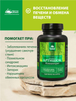 Концентрат Артишок