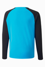 Вратарская кофта Puma teamPACER GK LS