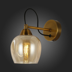 Бра EVOLUCE SLE110001-01