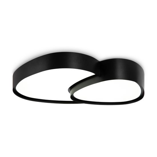 Потолочный светильник Freya FR6079CL-L72B