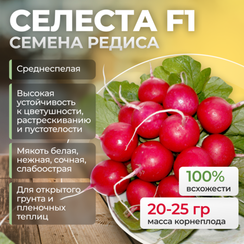 СЕЛЕСТА F1 семена редиса (Enza Zaden | Alexagro)