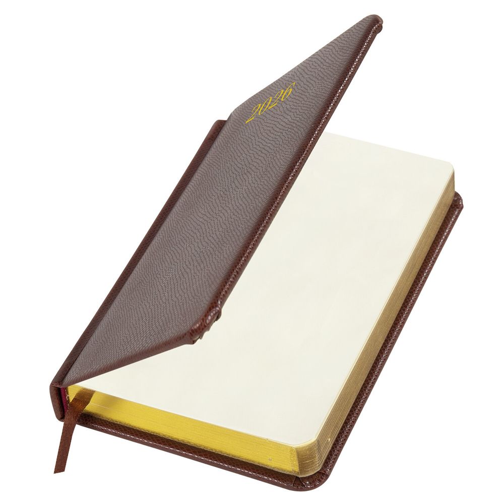 Ежедневник датированный А6 BRAUBERG "Iguana" (117253) 3