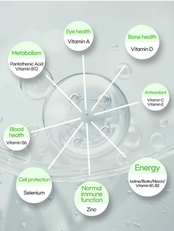 GRN+ Пищевая добавка для снижения веса с зелёным чаем All New Green Season 4 (1100 мг * 60 шт)