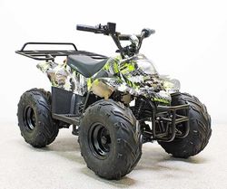 Купить Квадроцикл GreenCamel Гоби K51 (36V 800W R7 Цепь) быстросъем, ножной тормоз