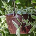 Кашпо Подвесное (4,5л) Цв. Терракот