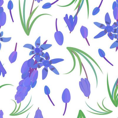 Пролеска сибирская