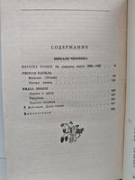 Зеркало человека