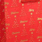 Пакет подарочный «Волшебная сказка» 18*23*8 см, микс