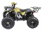 Квадроцикл ATV TERMIT TT