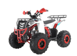 Квадроцикл Wels Thunder EVO 125 красный