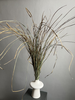 Грасс большой пучок