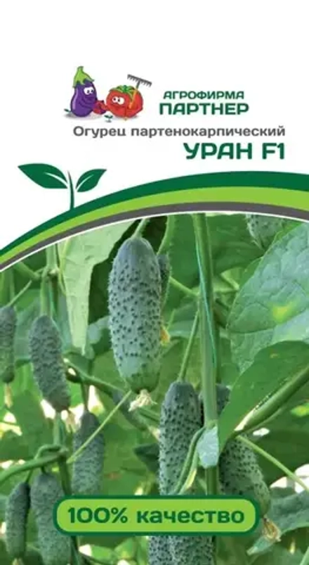 Огурец Уран