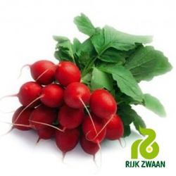 Редис Рондеел (10гр) Витагрин Профи