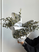 Охапка эвкалипта глобулус 5 шт