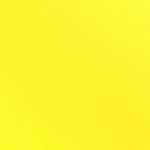 Картон цветной А4 МЕЛОВАННЫЙ, 24 листа,12 цветов, в папке, BRAUBERG KIDS, 203х283 мм, "Джунгли", 115158