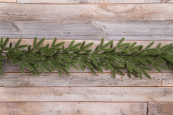 Гирляна 270см Edelman B.V. Чемберлен зеленая