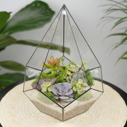 Флорариум с суккулентами Капля Laaroom