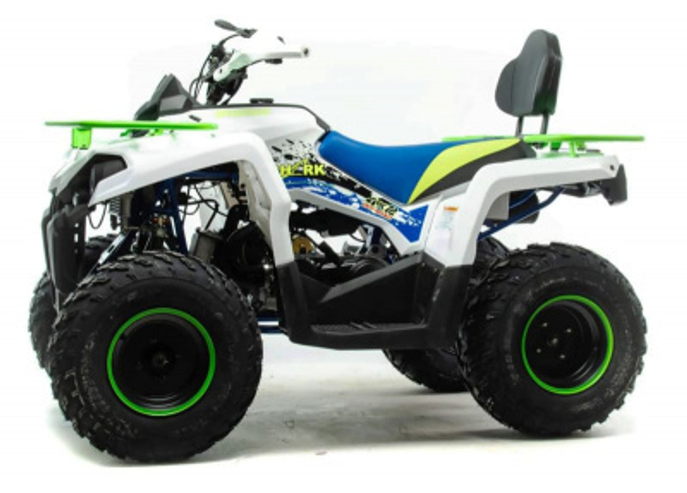 Квадроцикл MOTOLAND 200 Shark (2021 Г.)