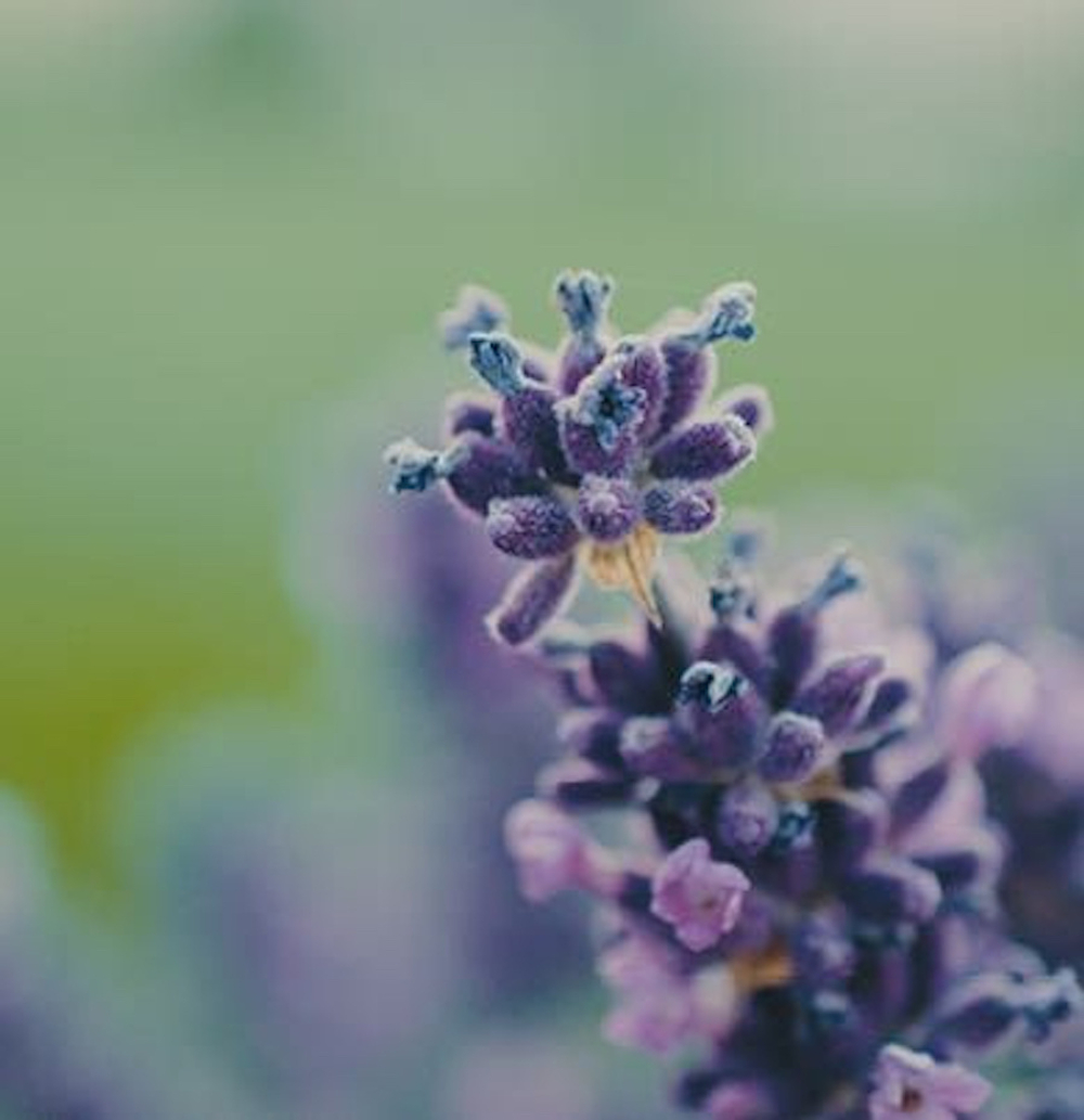 Dr. Vranjes Terra спрей ароматизатор воздуха (аромат Земля)