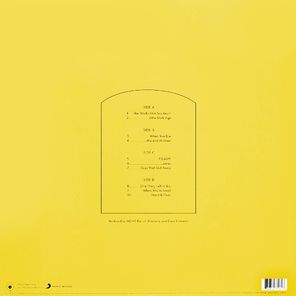 MGMT / Little Dark Age (2LP)