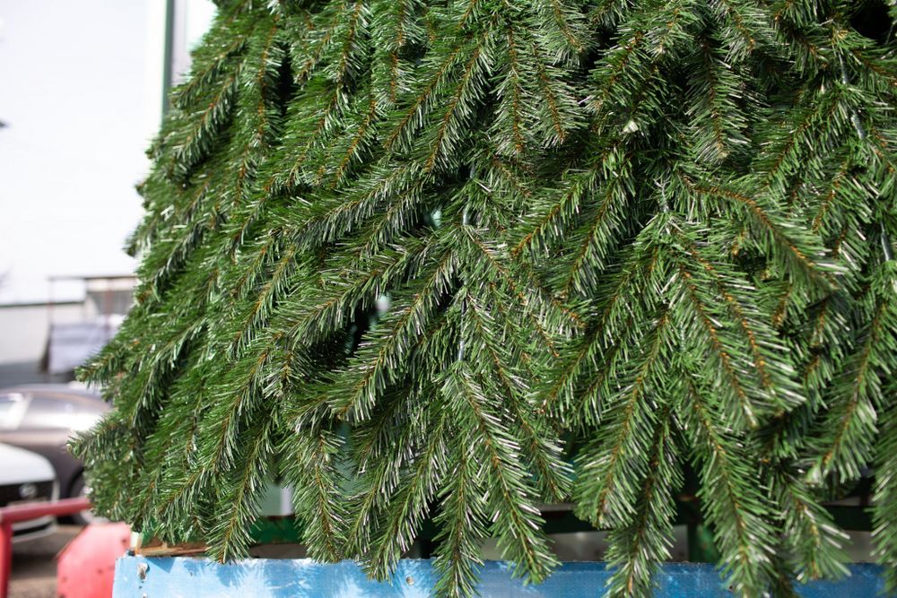 Уличная елка каркасная "Русская" (пвх) от 4 до 30 м