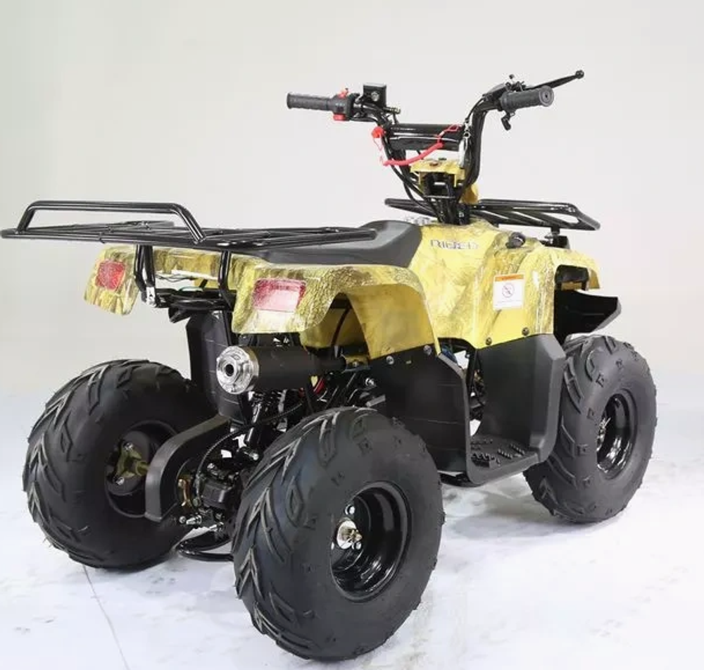 Квадроцикл MOTOLAND (МОТОЛЕНД) 110 RIDER