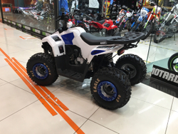 ATV Motoland 110 EAGLE (2020г.)