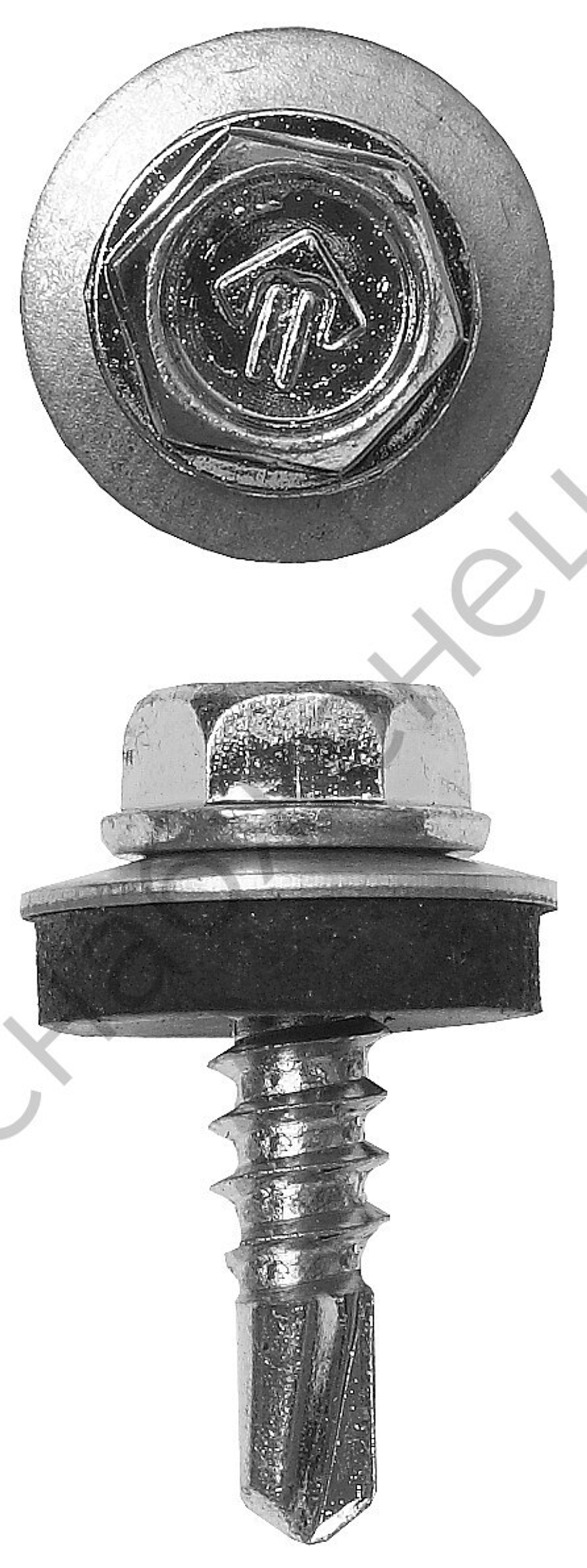 ЗУБР СКМ 25 х 5.5 мм, кровельный саморез, цинк, 420 шт (4-300315-55-025)