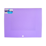 Папка на кнопке Alingar, A4, 240х320х10, 500 мкм, карман для визитки, ассорти, матовая, "Ice"