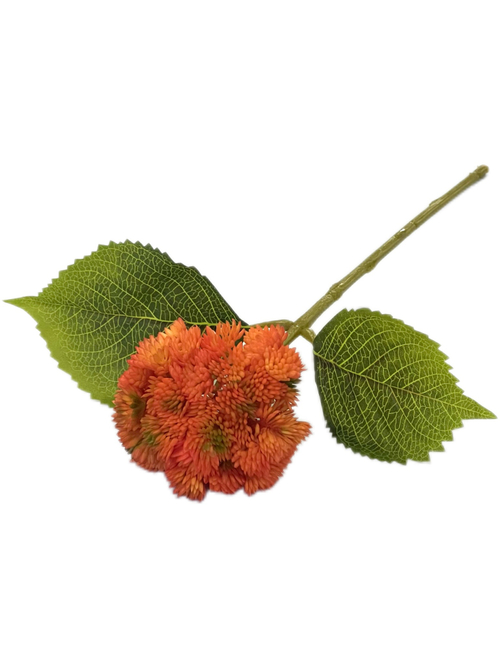 Седум оранжевый 38 см