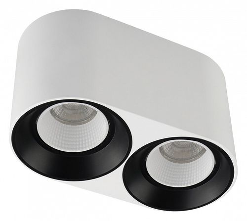 Накладной светильник Denkirs DK3096-WB+WH