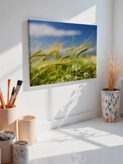 Картина на стену 40 X 50 Злаки