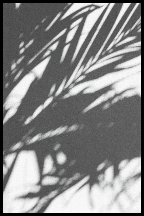 Интерьерная картина в технике цифровой печати. АРТ 001 Черное и белое