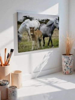 Картина на стену 40 X 50 Лошади