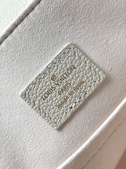 Louis Vuitton Backup