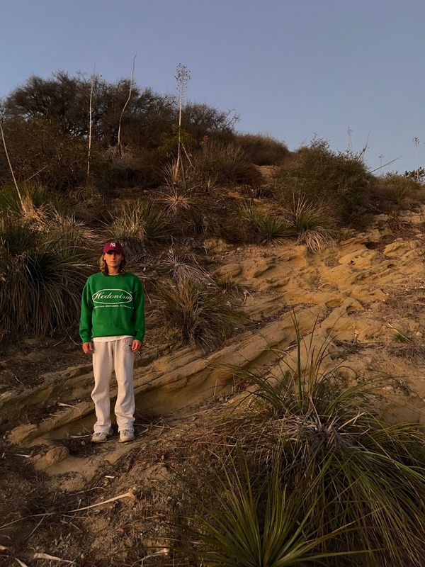 Свитер Hedonism Зеленый - фото 7