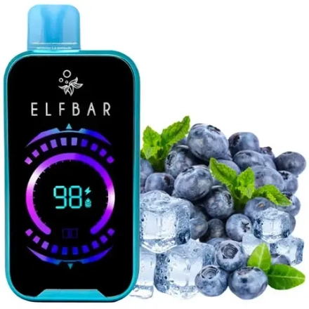 ELF BAR RAYA D2 - Blueberry Ice (5% nic)