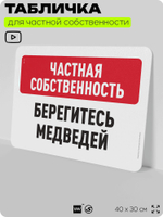 Табличка для частной территории "Частная собственность, берегитесь медведей", на дом, для участка, организаций, предупреждающая, 40х30 см, Silver Plane x Айдентика Технолоджи