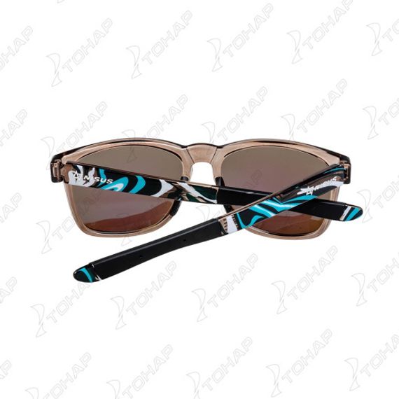 Очки поляризационные в жест.чехле (N-OP-TF2038-B) Nisus