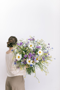 Meadow