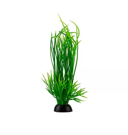 Растение зеленое с длинными листьями 4*10см
