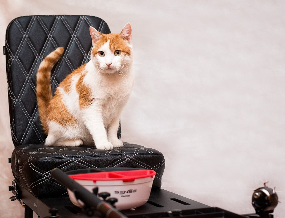 Набор мисок для замешивания теста SENSE