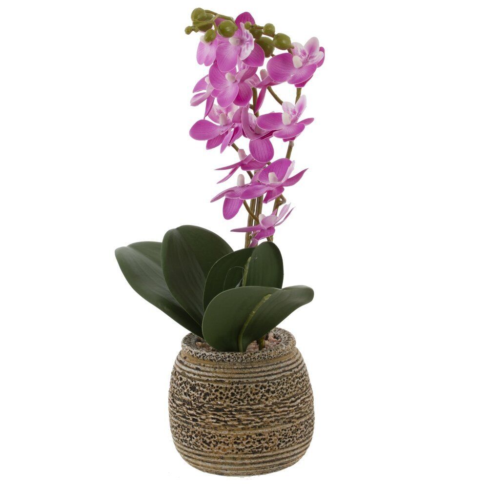 GAEM Цветочная композиция "Орхидея", L11 W11,5 H36,5 см