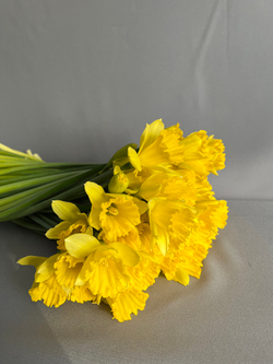 Букет нарциссов