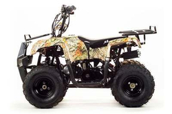 Квадроцикл MOTOLAND 110 RIDER (2021 Г.)
