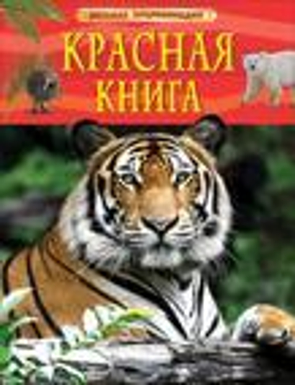 Шейх-Миллер Дж. Красная книга. Детская энциклопедия
