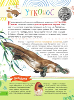 Красная книга для малышей