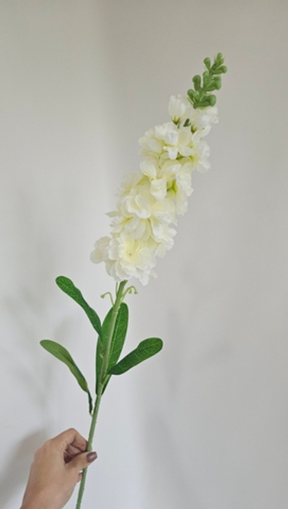 Дельфиниум / Арт 2351