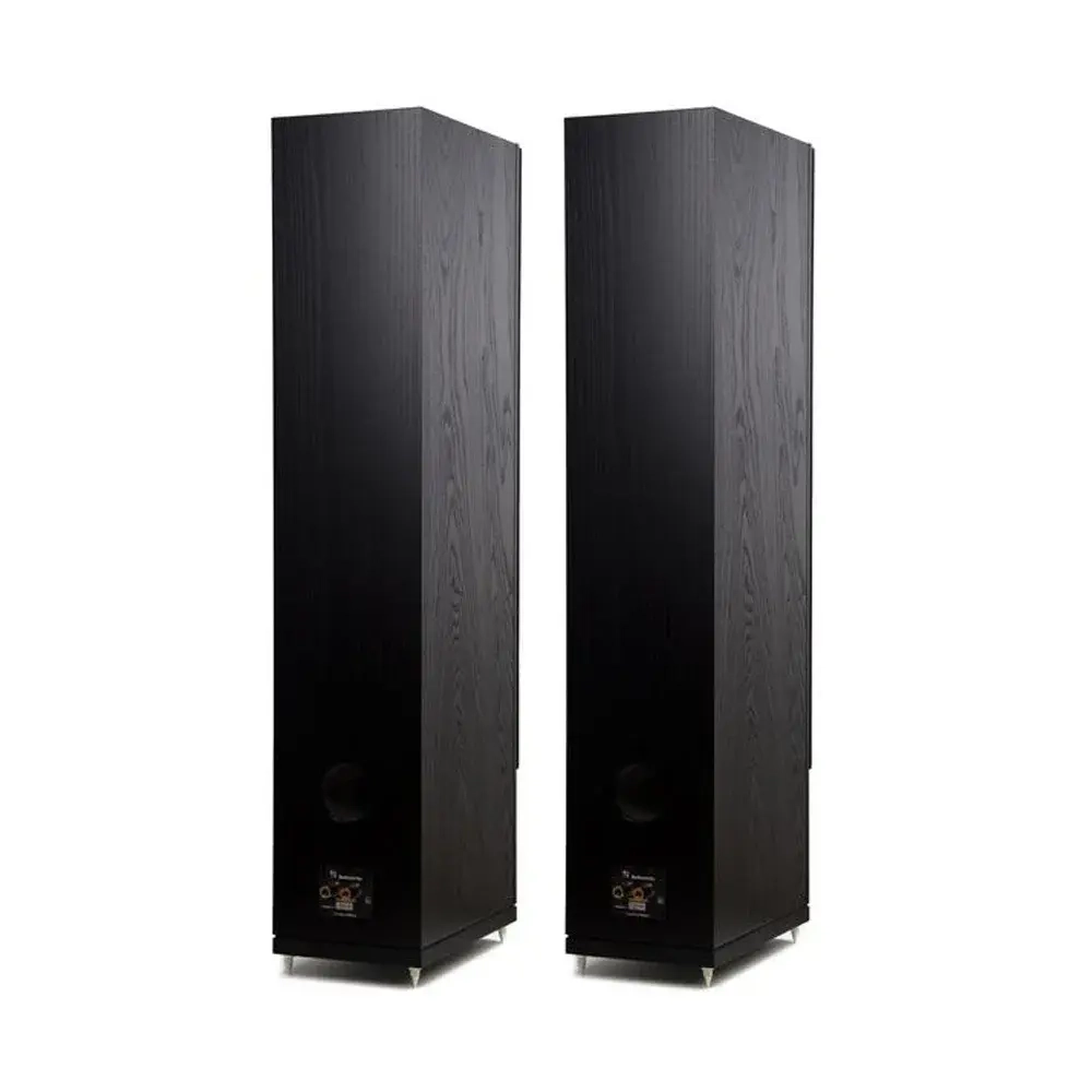 Radiotehnika Gamma 3.03 Black Ash напольная профессиональная акустическая система (пара)